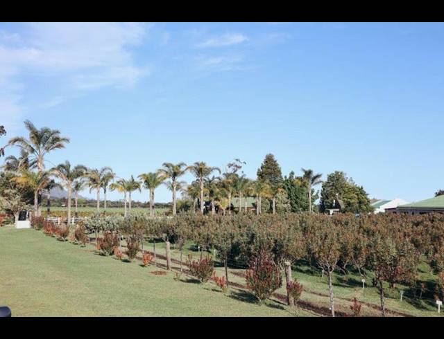 FARM FOR SALE IN TSITSIKAMMA